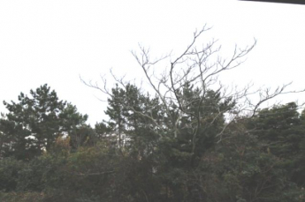 【展望】