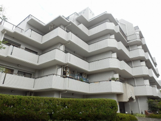 【その他】