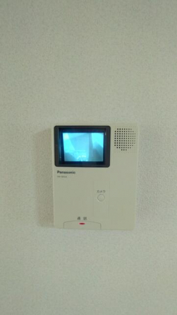 ベルリッツ金子の画像