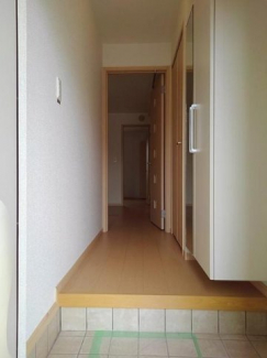 落ち着いた玄関です