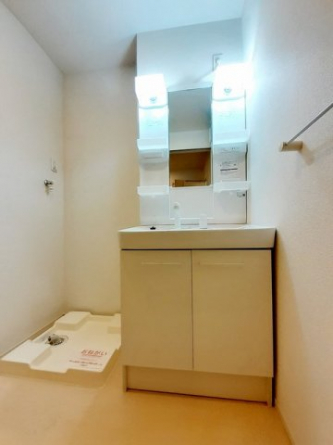 忙しい朝には欠かせない洗面所です