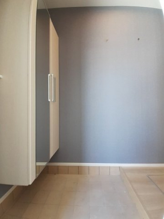 落ち着いた玄関です