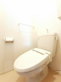 落ち着いた色調のトイレです