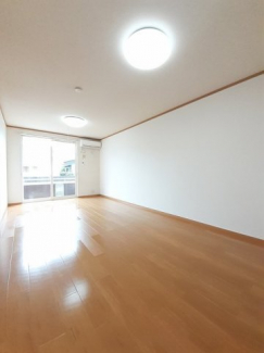 中はこのようになっています