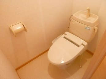 落ち着いた色調のトイレです
