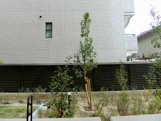 【展望】
