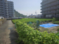 松山市北吉田町の売地の画像
