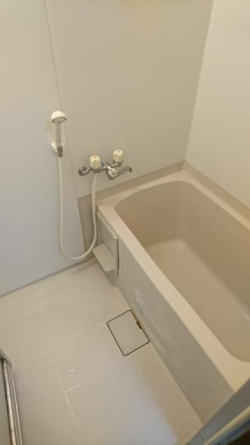 ※写真はイメージです