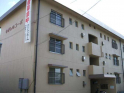 松山市東野１丁目のマンションの画像