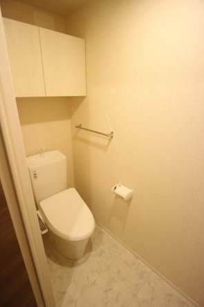 落ち着いた色調のトイレです