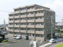 秀和ココペリ・の画像