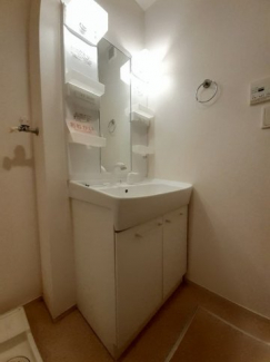 忙しい朝には欠かせない洗面所です