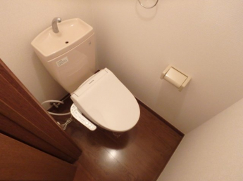 ゆったりとした空間のトイレです
