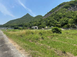 石倉売土地の画像
