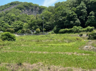 石倉売土地の画像