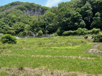 石倉売土地の画像