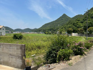 石倉売土地の画像