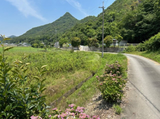 石倉売土地の画像