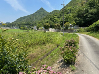 石倉売土地の画像