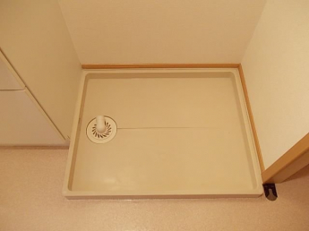 きれいな内装です