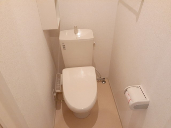 落ち着いた色調のトイレです