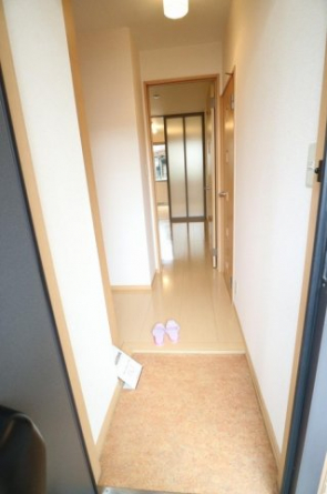 落ち着いた玄関です