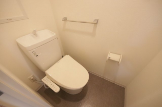 落ち着いた色調のトイレです