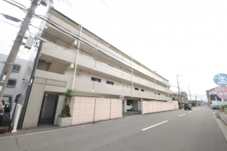 外観もきれいです