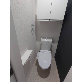 落ち着いた色調のトイレです