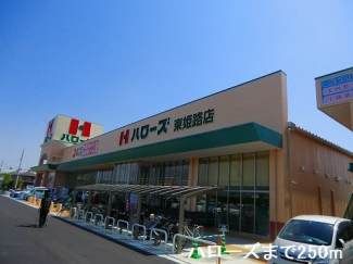 ハローズまで250m
