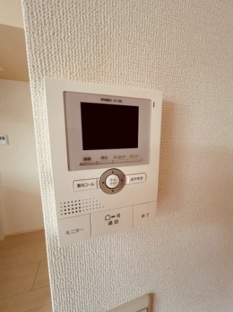 エルヴィータⅣ