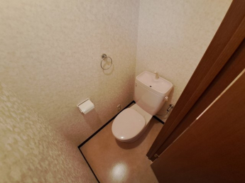 ウォシュレット新設します