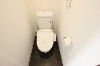 落ち着いた色調のトイレです