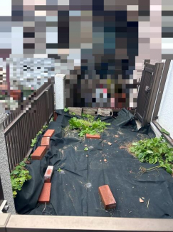 玄関横