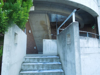完成写真