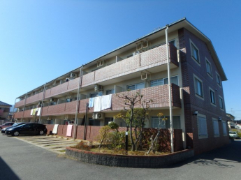 きれいな外観です