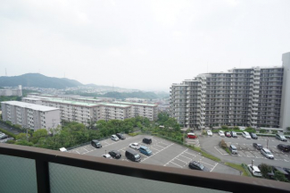 【展望】