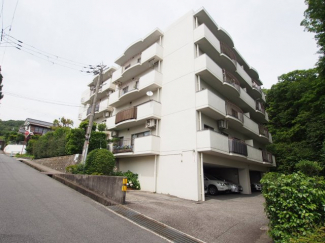 外観もきれいです