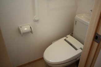落ち着いた色調のトイレです
