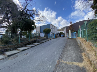 大津市立志賀小学校まで440m