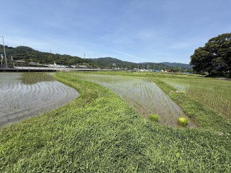 松山市平井町の売地の画像