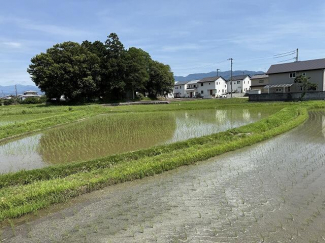 松山市平井町の売地の画像