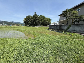 松山市平井町の売地の画像