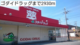 ゴダイドラッグまで2930m