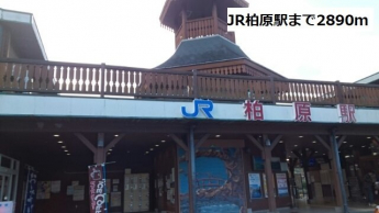 柏原駅まで2890m