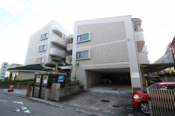 外観は落ち着いています