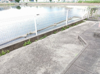 バルコニーからの眺めを楽しみながら食事をしませんか