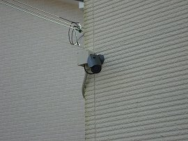 【その他】