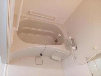 ＭＡＩＳＯＮＡＫＡＳＨＩの画像