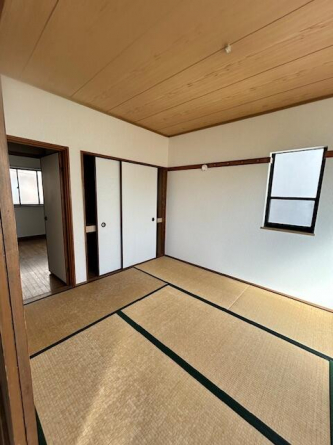 キャスティ・イダの画像
